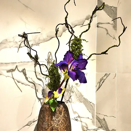 Metropole Royal * Boekarest